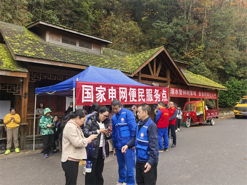 国网图1 国网图1