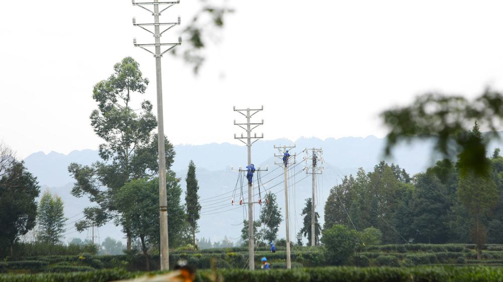 电力工人正在开展导线展放工作（赵浩洋&nbsp;摄）