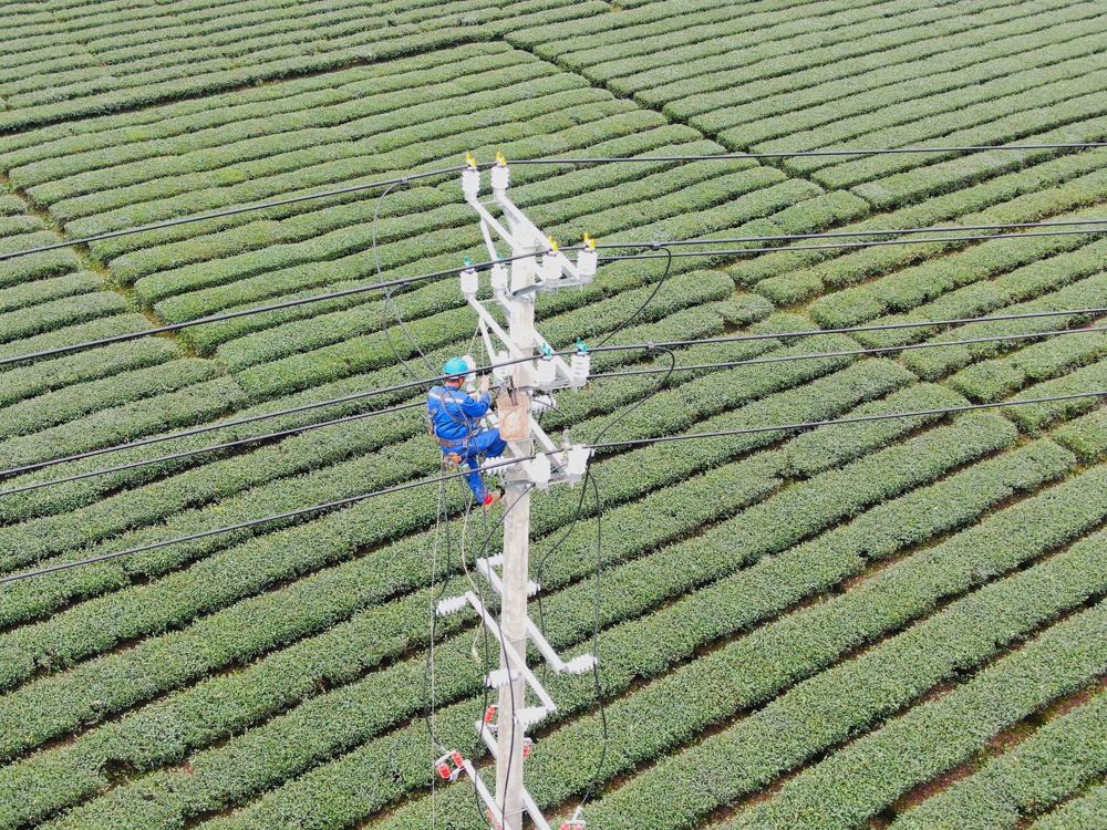 电力工人正在开展导线展放工作（赵浩洋摄）