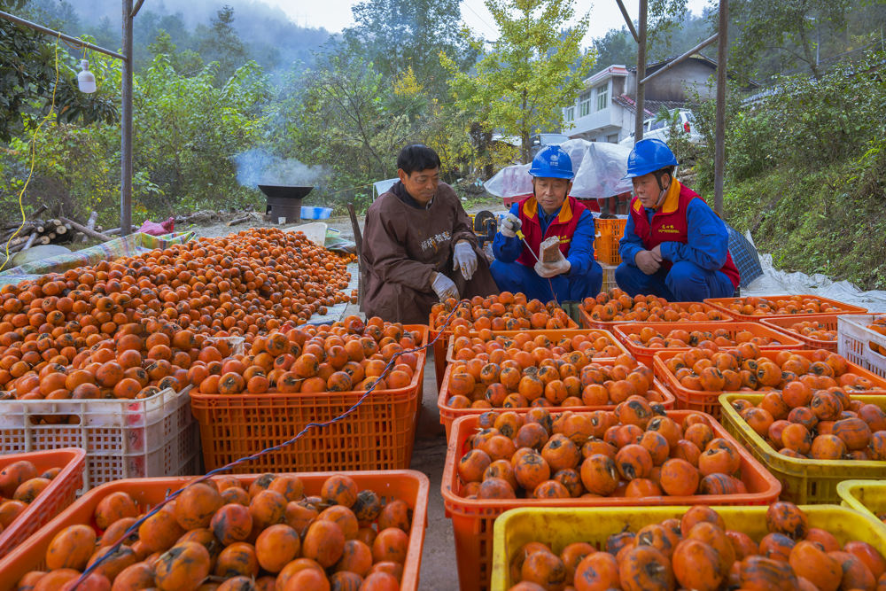 微信图片_20251118095928_395_364