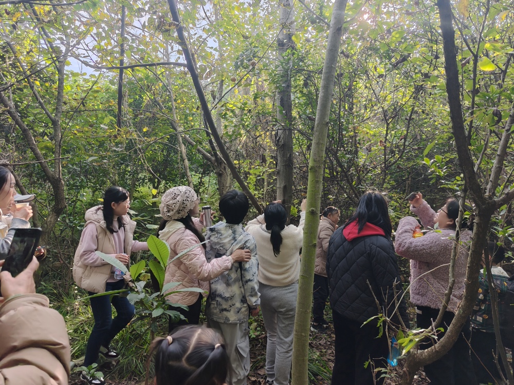 微信图片_20251124110751