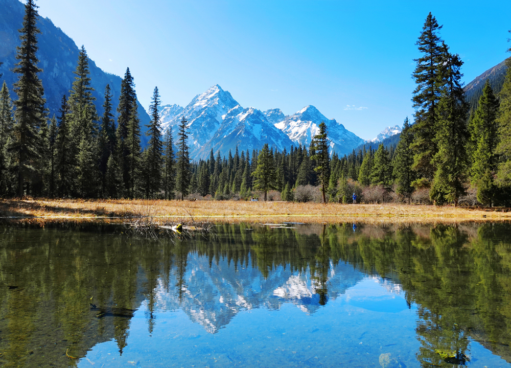 大熊猫国家公园王朗片区