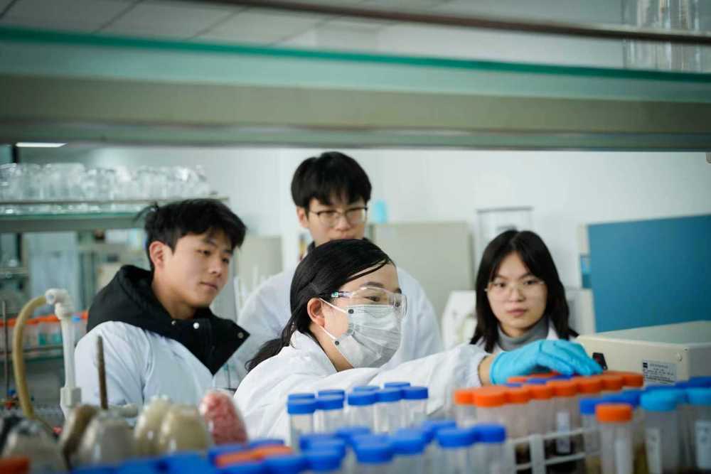 微信图片_20251125112426