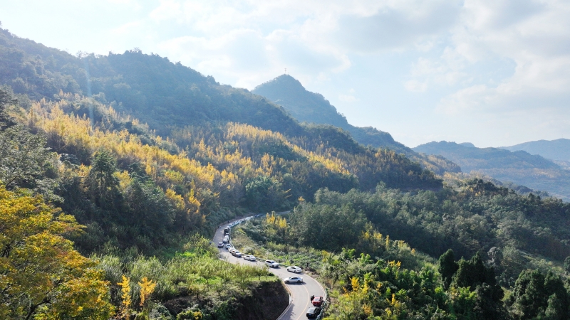 金色长廊&nbsp;丹棱宣传部供图