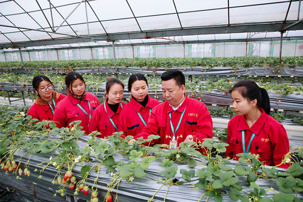 “项目+基地”模式联动激活发展源