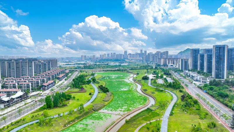 图为眉山天府新区柴桑河湿地