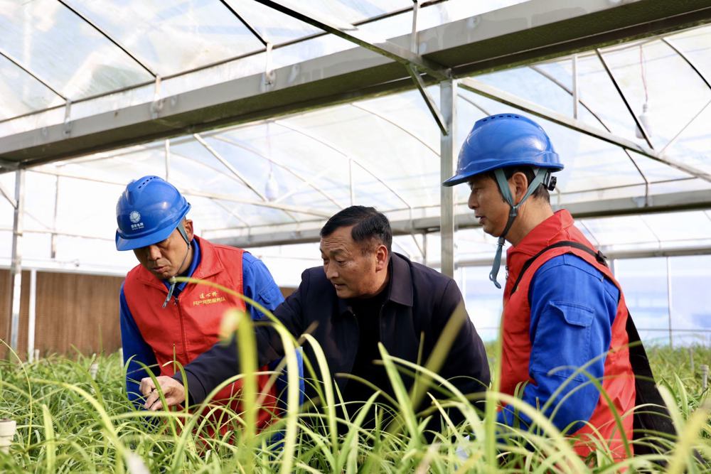 电力服务队上门服务兰草基地（余思佳&nbsp;摄）