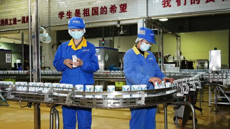 图为工作中的邓燕琴 (左)