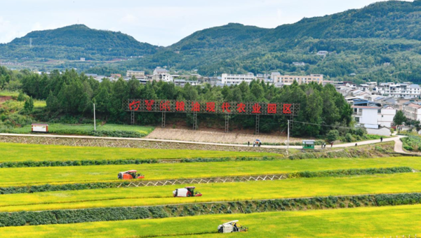 广元苍溪县：苍山溪水结硕果，农兴民富振乡村