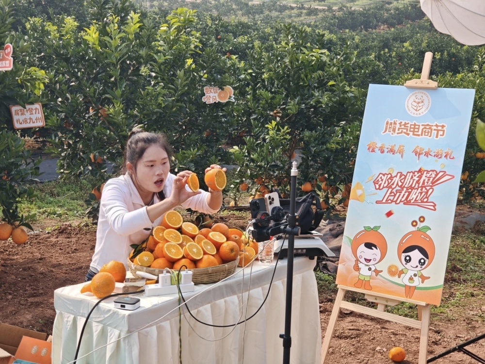 微信图片_20251223095659_10_814