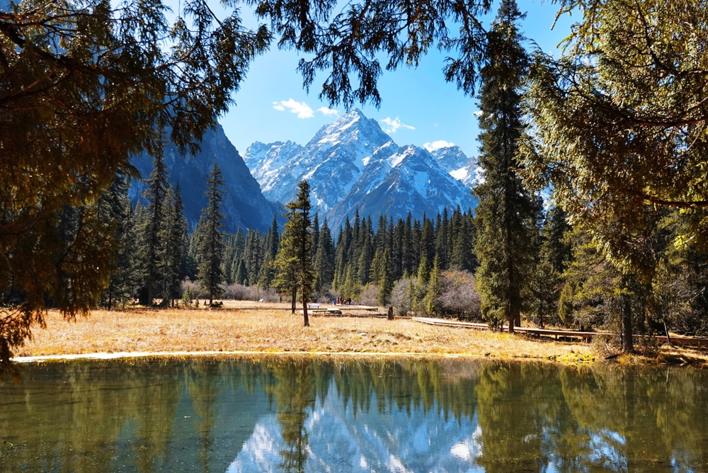 大熊猫国家公园王朗片区