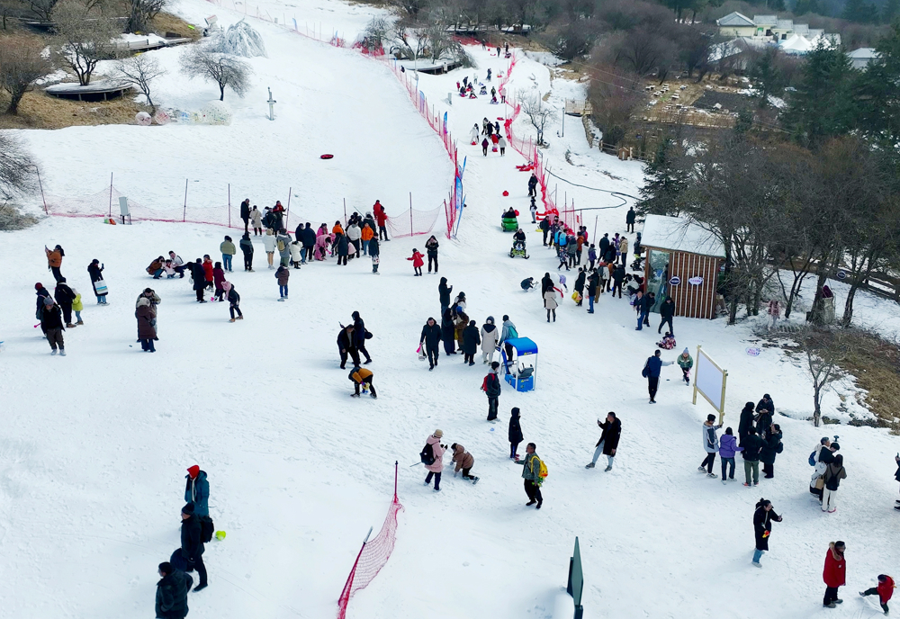 王朗探秘营地体验冰雪游