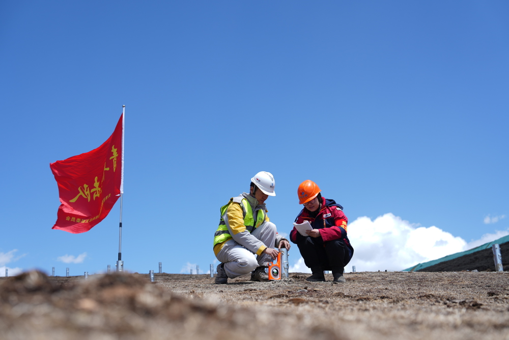 茶布朗光伏青年突击队