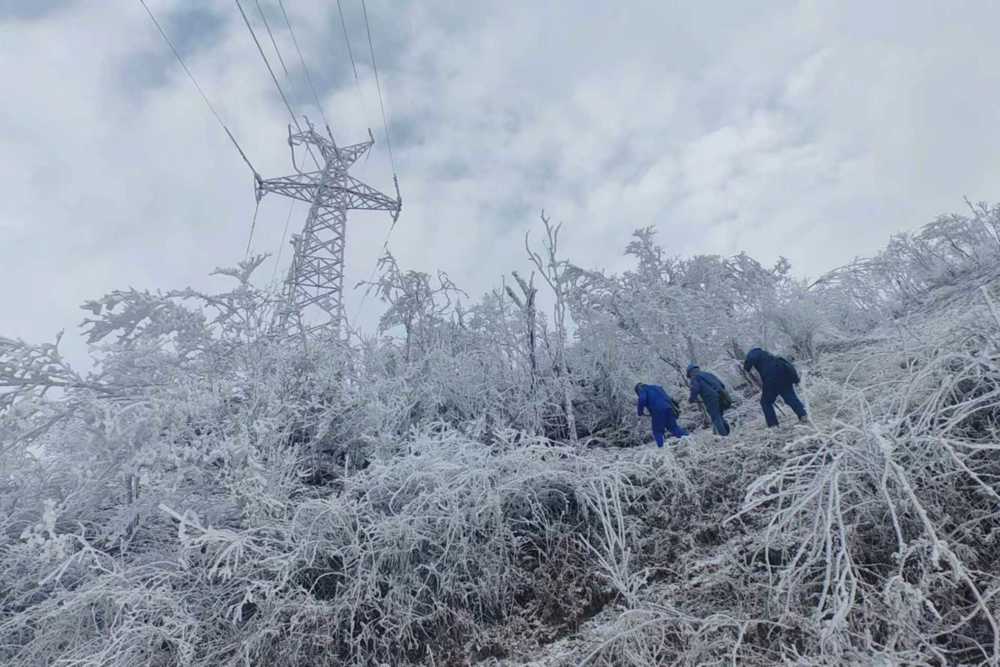 mmexport1767510919613