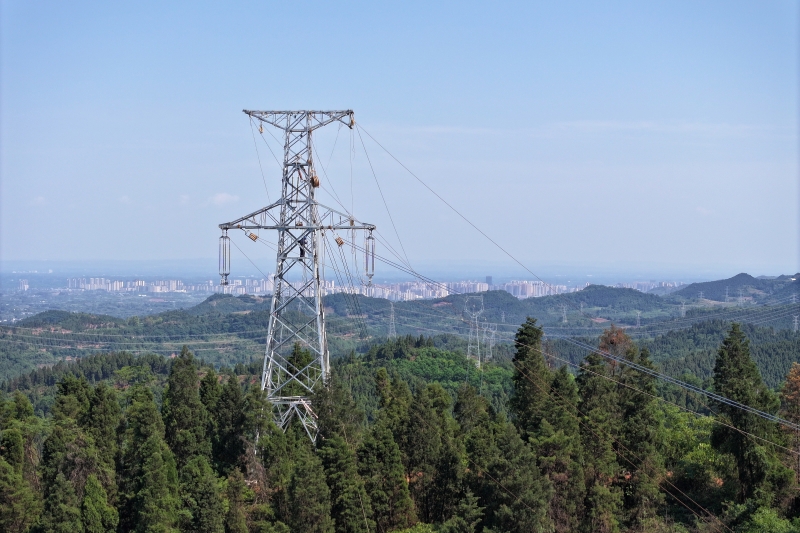 眉山仁寿220千伏电网加强工程投运（苟华彬 摄）