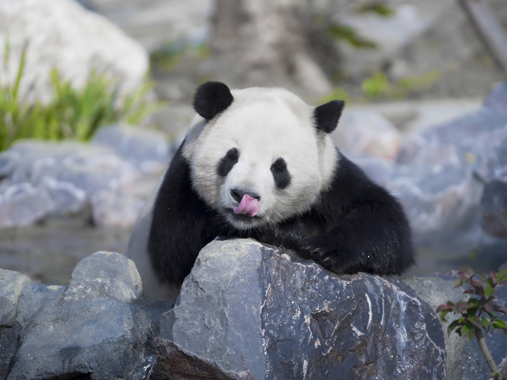 微信图片_20260108151452