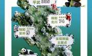 绵阳市“熊猫形象征集”与“熊猫地图打卡”两大活动上线