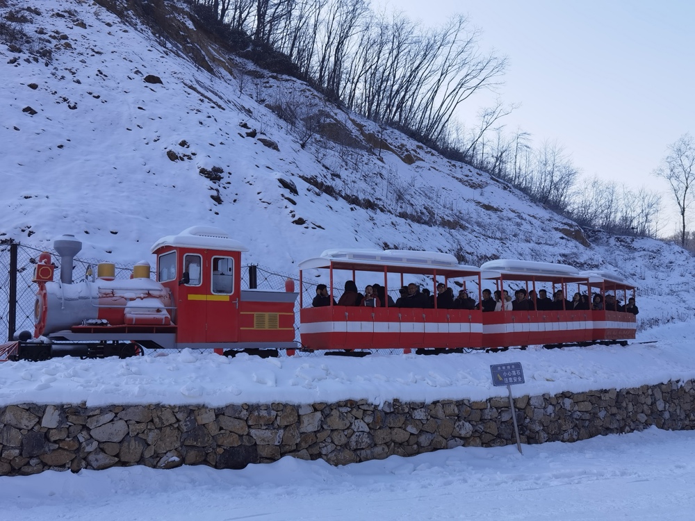 来滑雪场体验冰雪的游客
