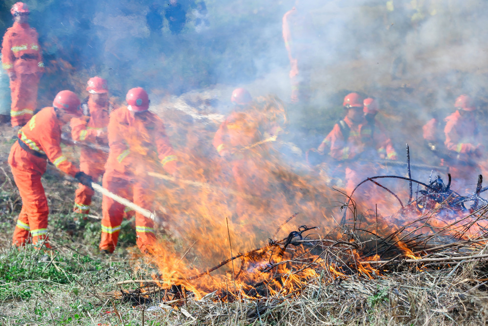 ９１１９ｅ５ｅ１９７０５６３ｂｂ１８０ｄ５２９ｂｄ１１ｄａｅ９１