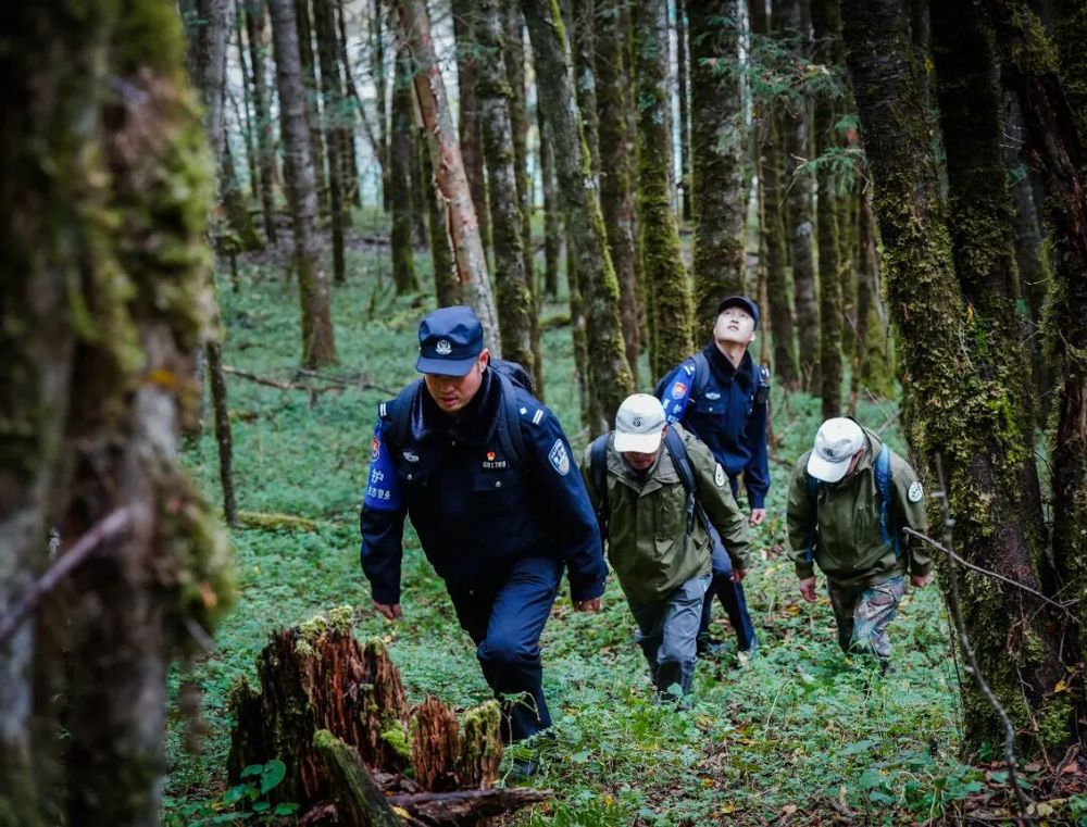 微信图片_2026-01-14_221919_287