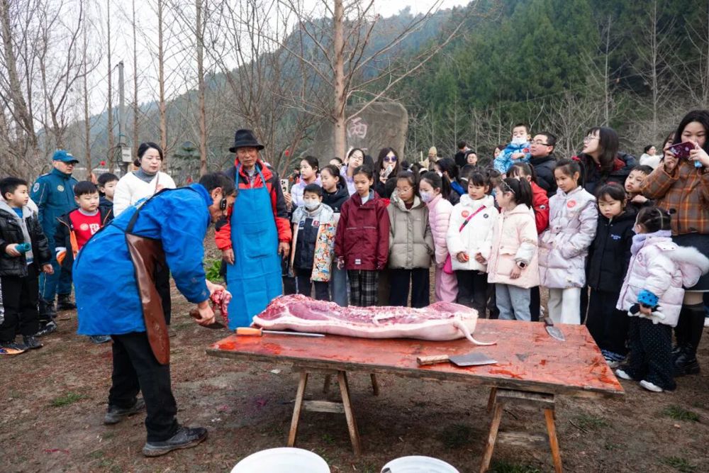 微信图片_2026-01-21_150045_885