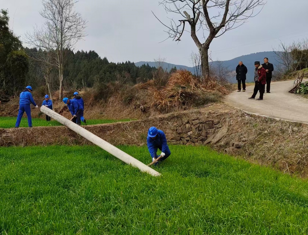 电力工人正在安装电杆