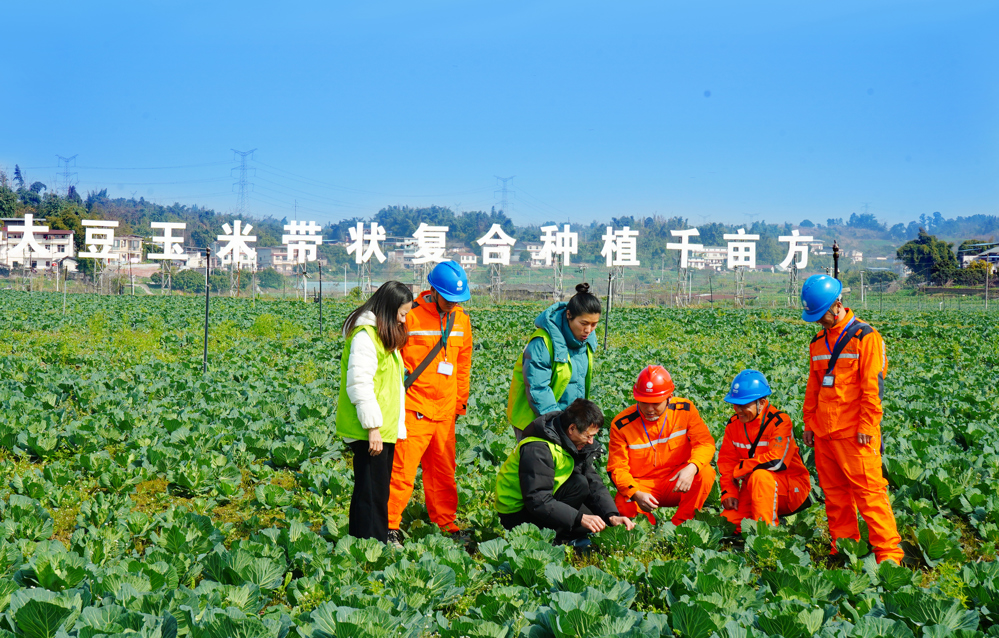 电力工人在示范基地检查喷灌设施