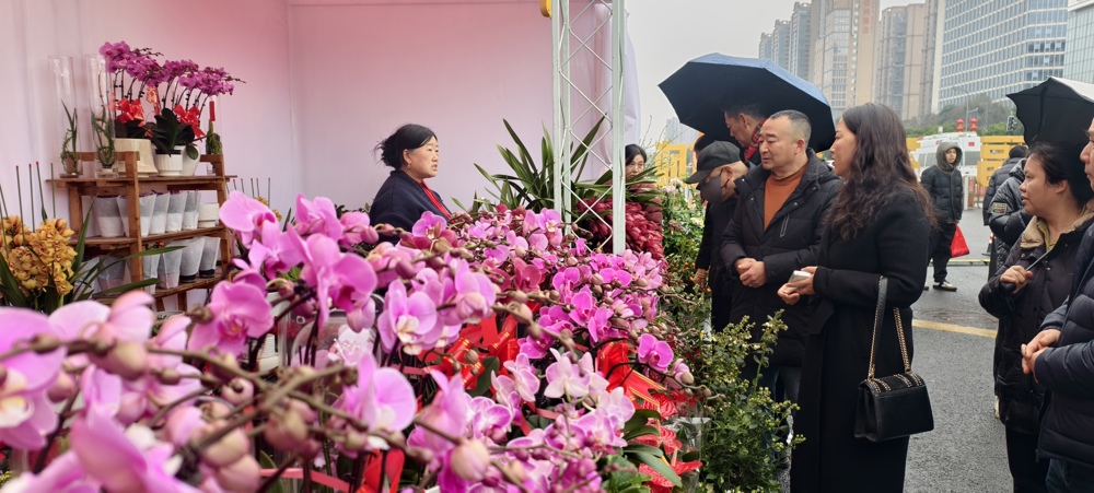 市民在花市观赏 活动主办方供图