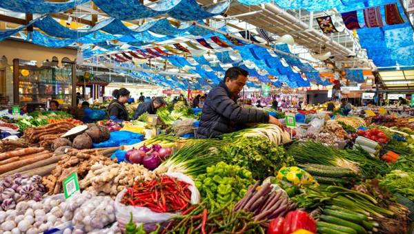 习近平总书记关切事丨新春万里暖山河