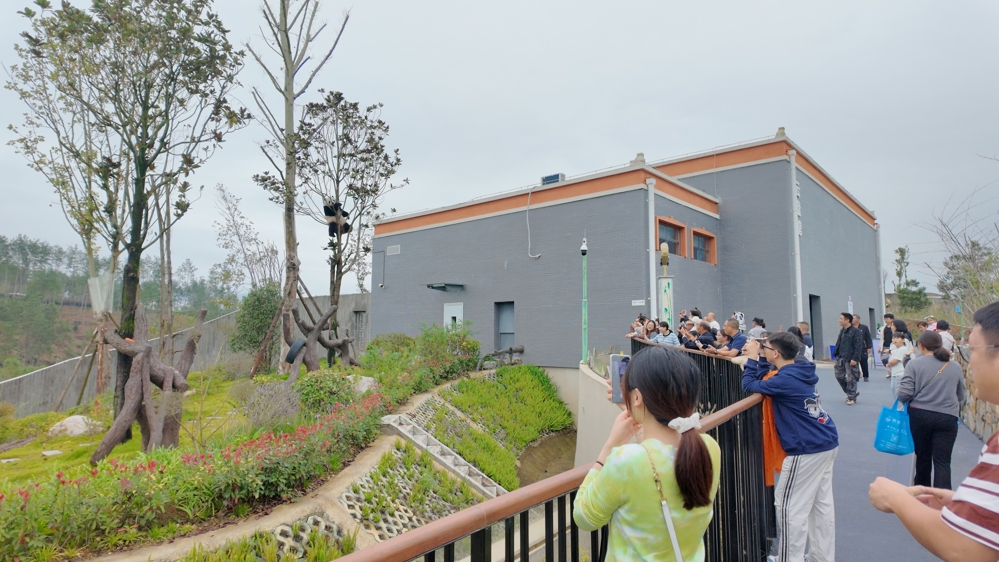 微信图片_20260211101017