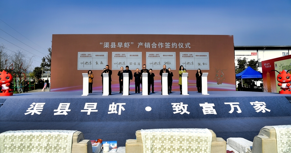 签约仪式现场 &nbsp;裴雪岑 &nbsp;摄