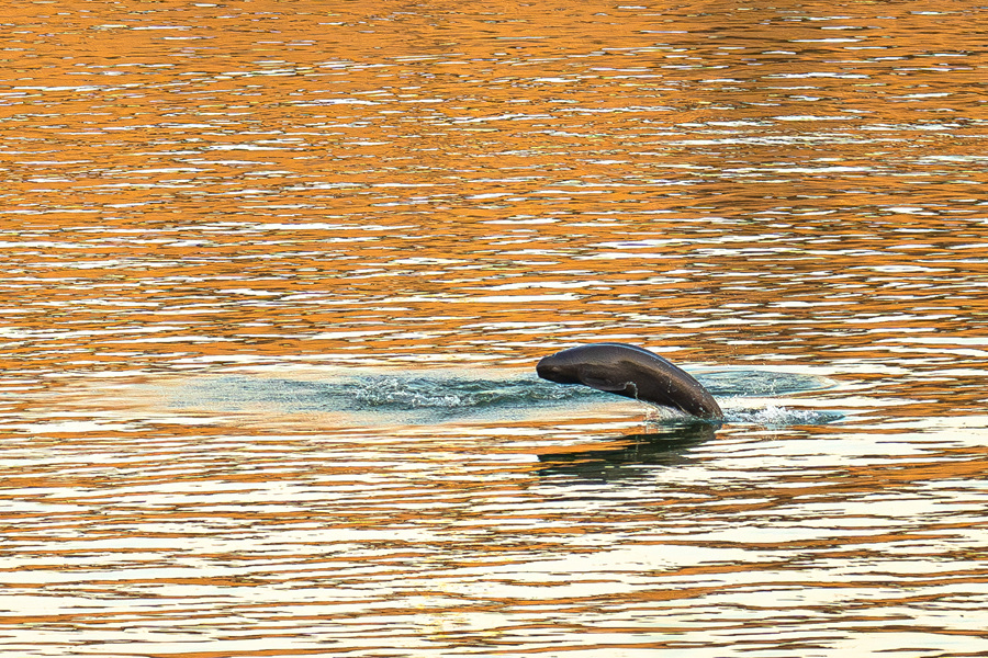 20260224b7031beddebb4b448119d8eca1b53ba2_2026022402fc33120fca4f0391a9cf4b9e6d6968