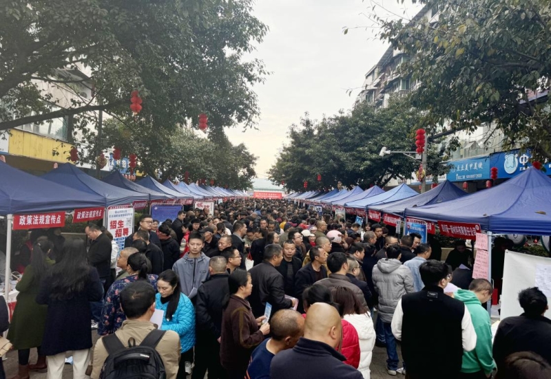 图片3_副本 图片3_副本