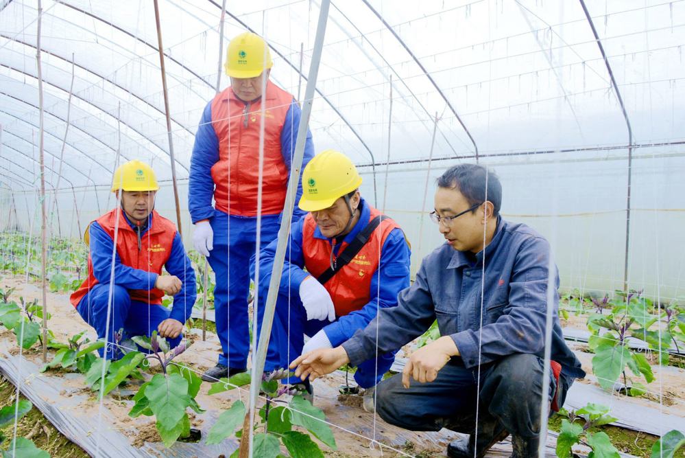 共产党员服务队为农户进行安全用电检查（李红燕 摄）