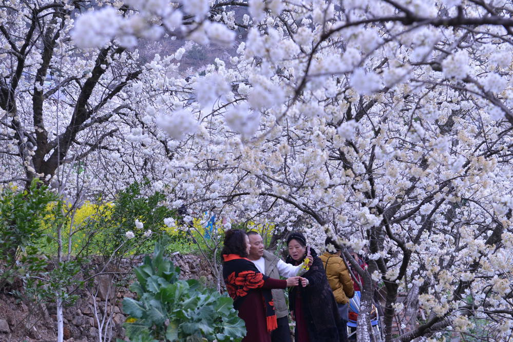 游客在拍照&nbsp; 赵海传/摄