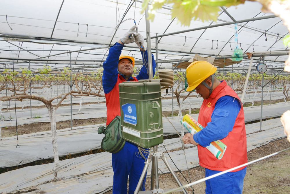 共产党员服务队员在葡萄基地检查用电设施（李红燕 摄）