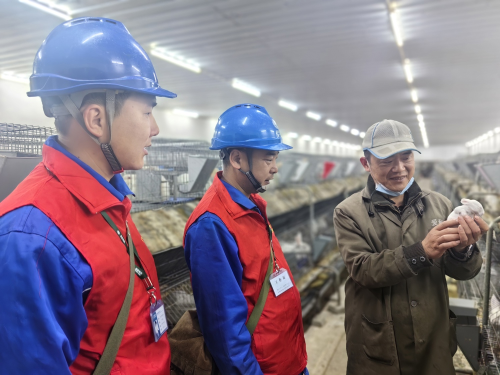 微信图片_20260304171555_257_401