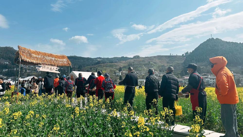 油菜花经济蓬勃发展