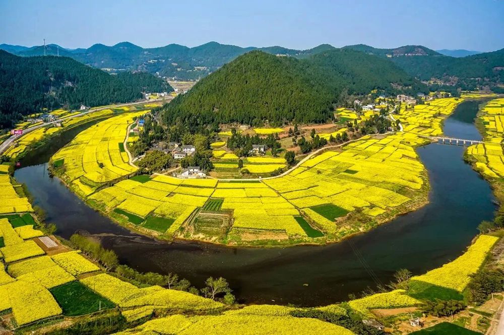 微信图片_2026-03-06_100204_982