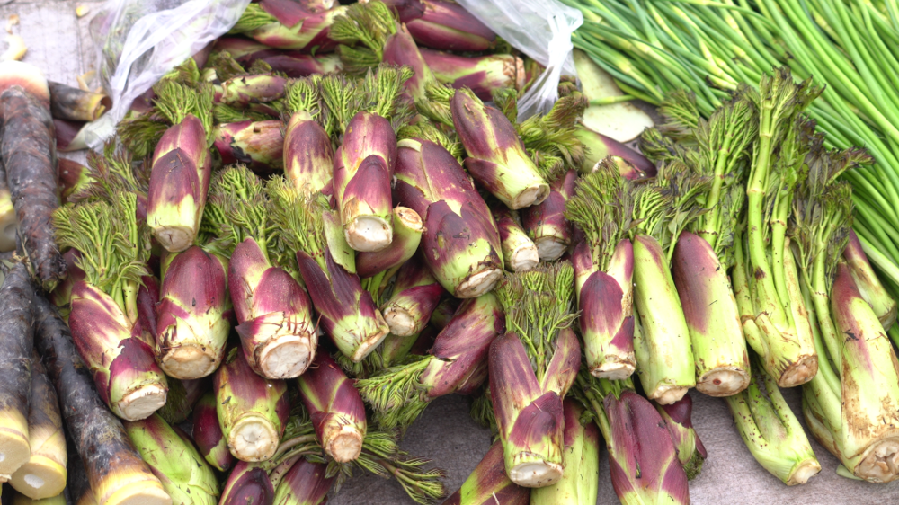 微信图片_2026-03-06_095705_430