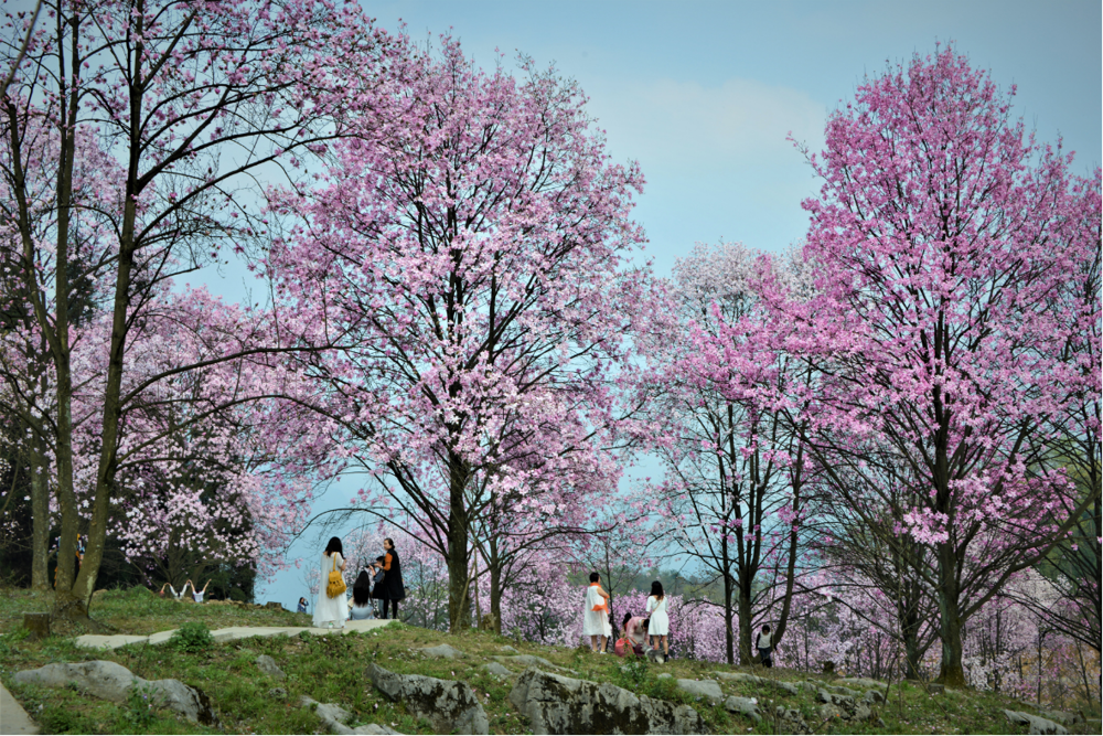 微信图片_2026-03-06_100655_084