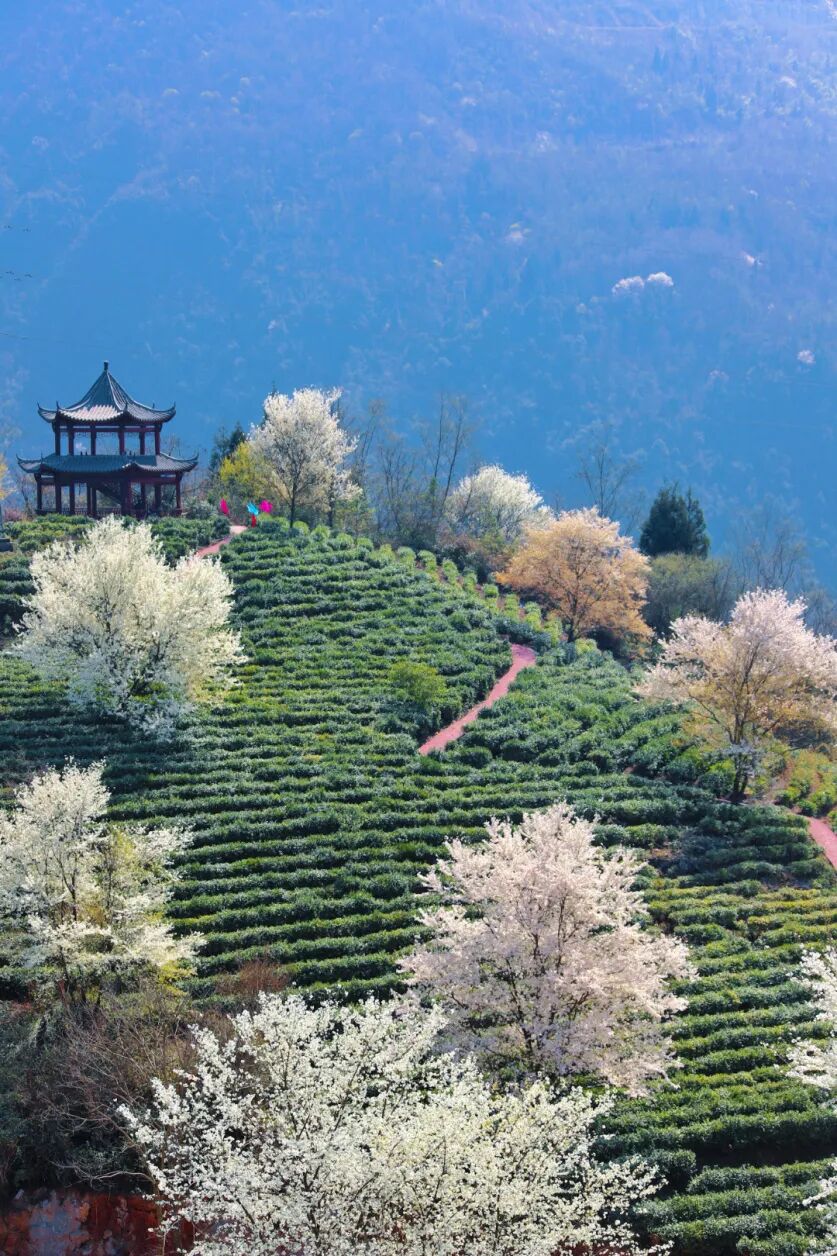 微信图片_2026-03-06_095719_139