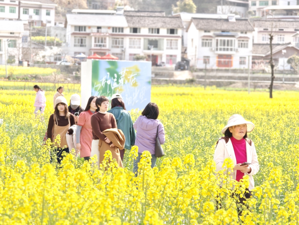 游客徜徉在油菜花海中 曾媛(摄)