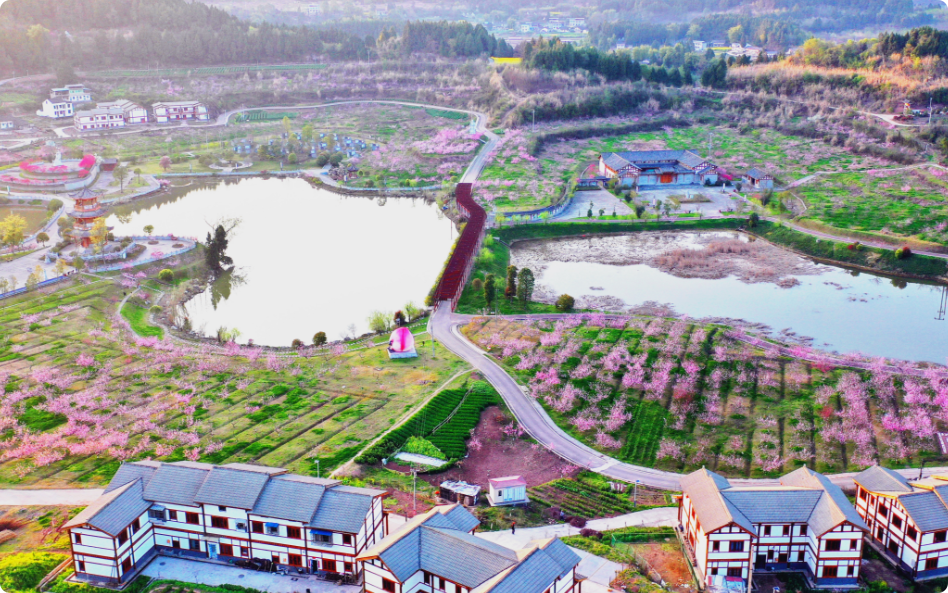 局部截取_20260309_105940