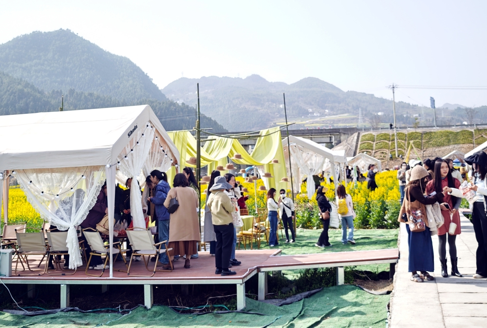 游客在油菜花田中尽享春日美食 曾媛(摄)