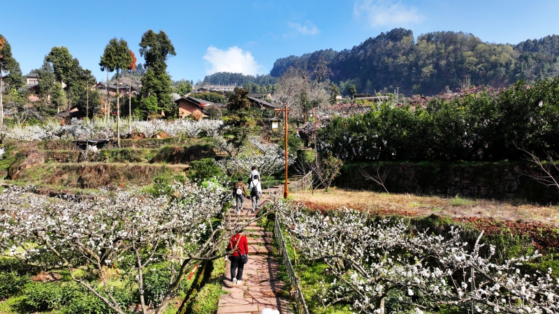 图为游客漫步幸福古村(陈珍利摄)