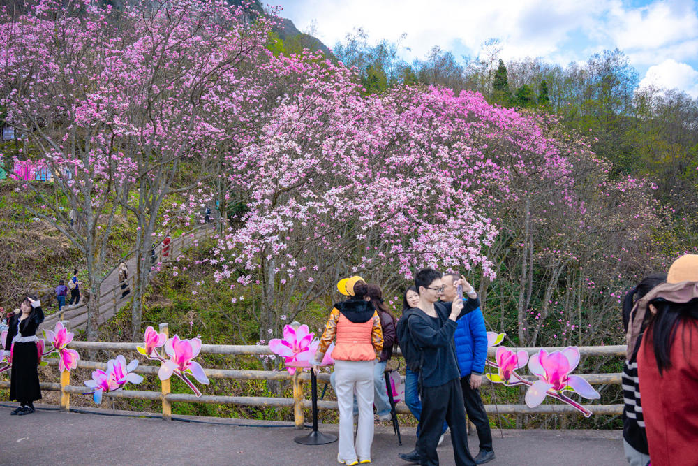 游客开心赏花,感受春色美景。