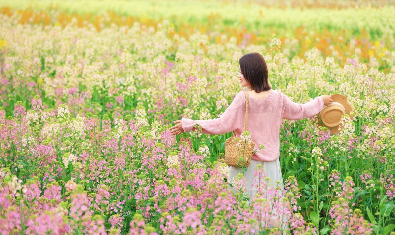 图为游客在彩色油菜花里留影(李莹糠摄)
