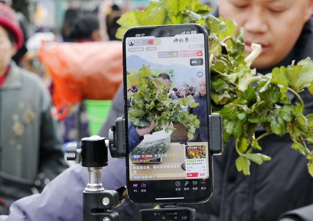 电商直播销售野菜