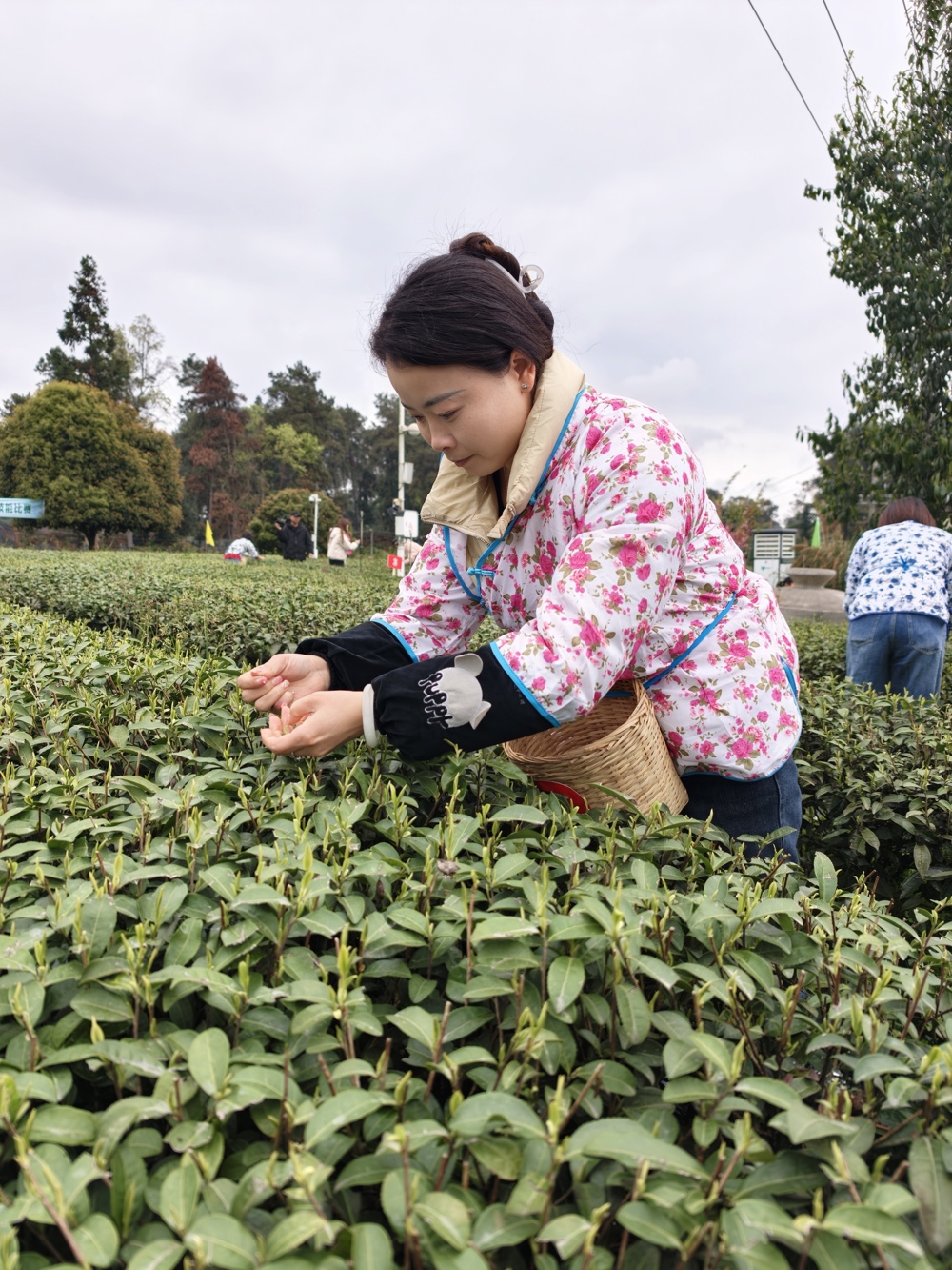 微信图片_20260317131154_75_10